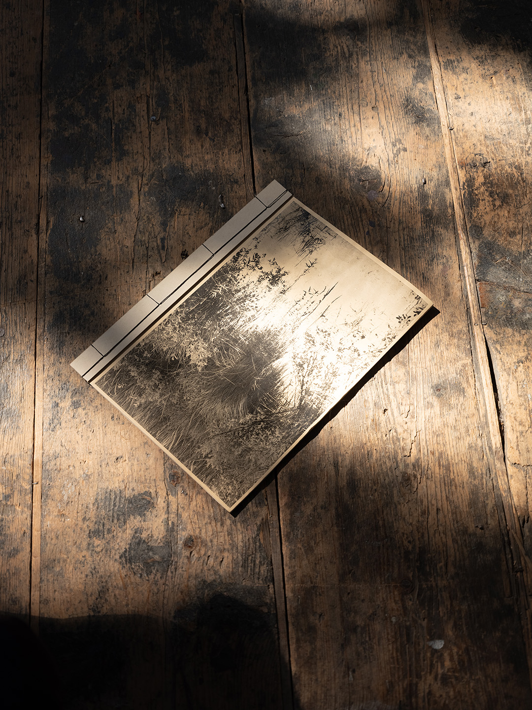 Portfolio Bild