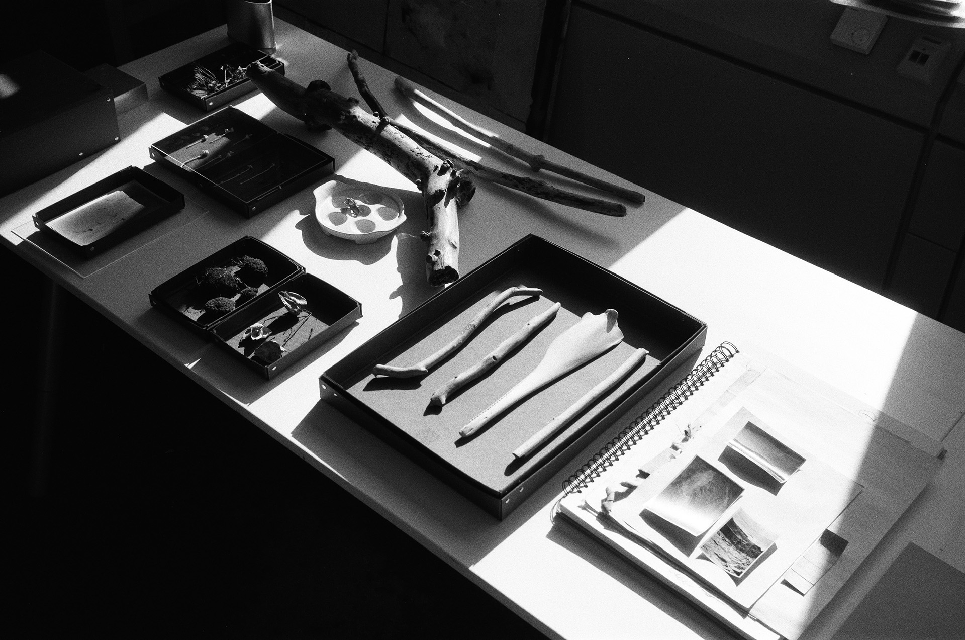 Portfolio Bild