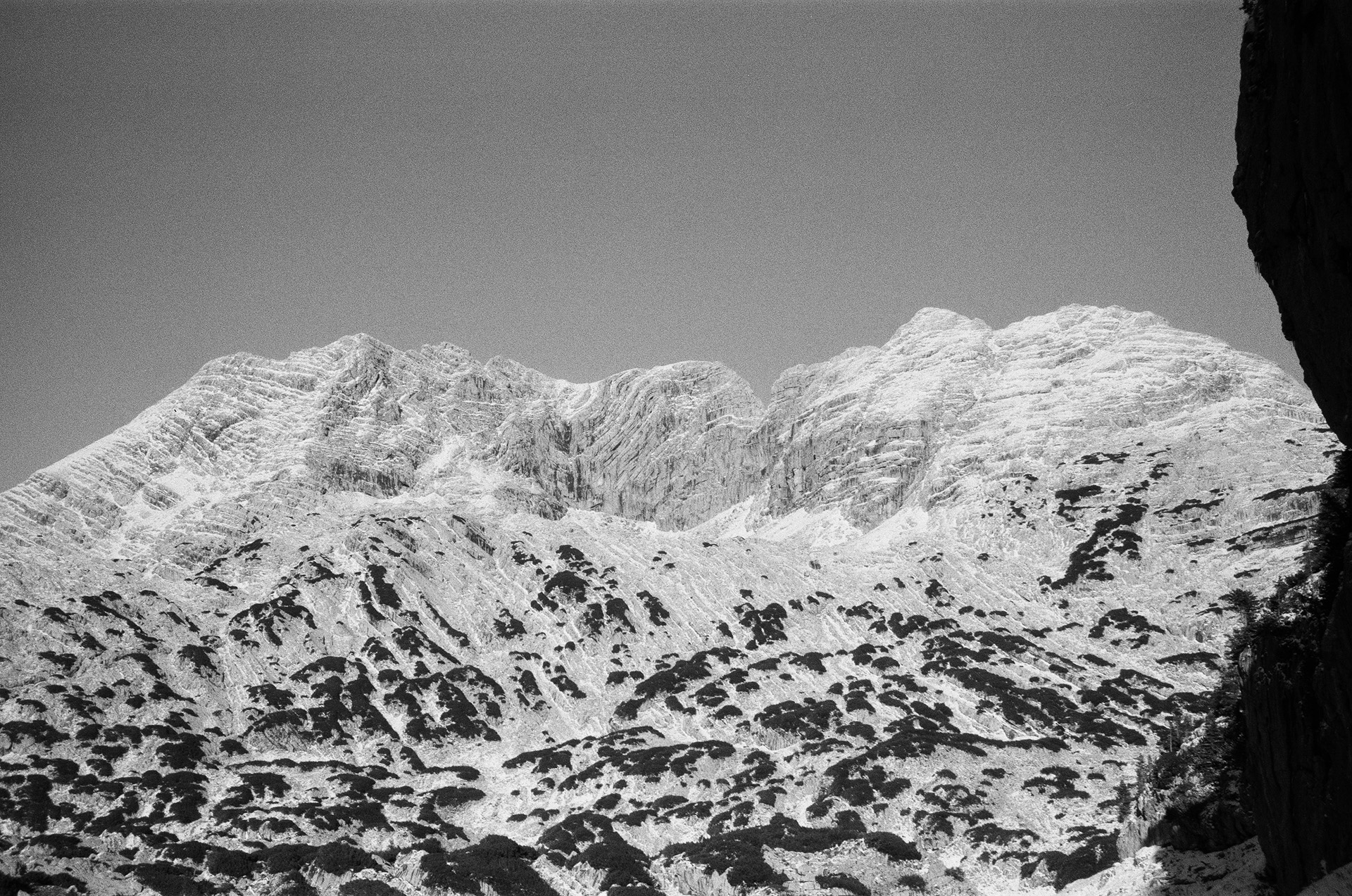 Portfolio Bild