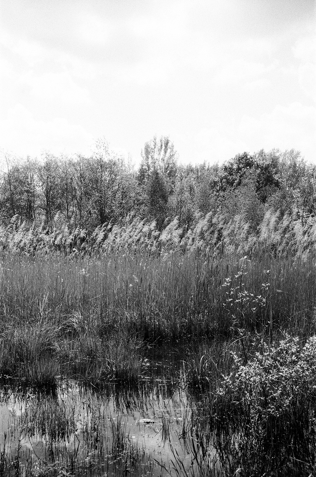 Portfolio Bild