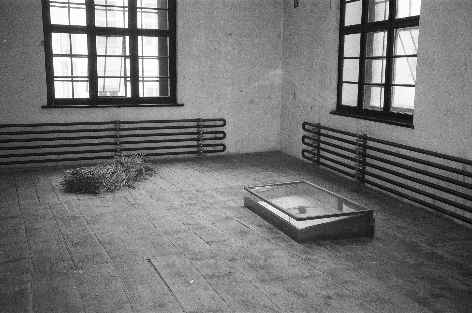 Portfolio Bild