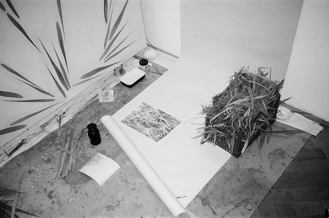 Portfolio Bild