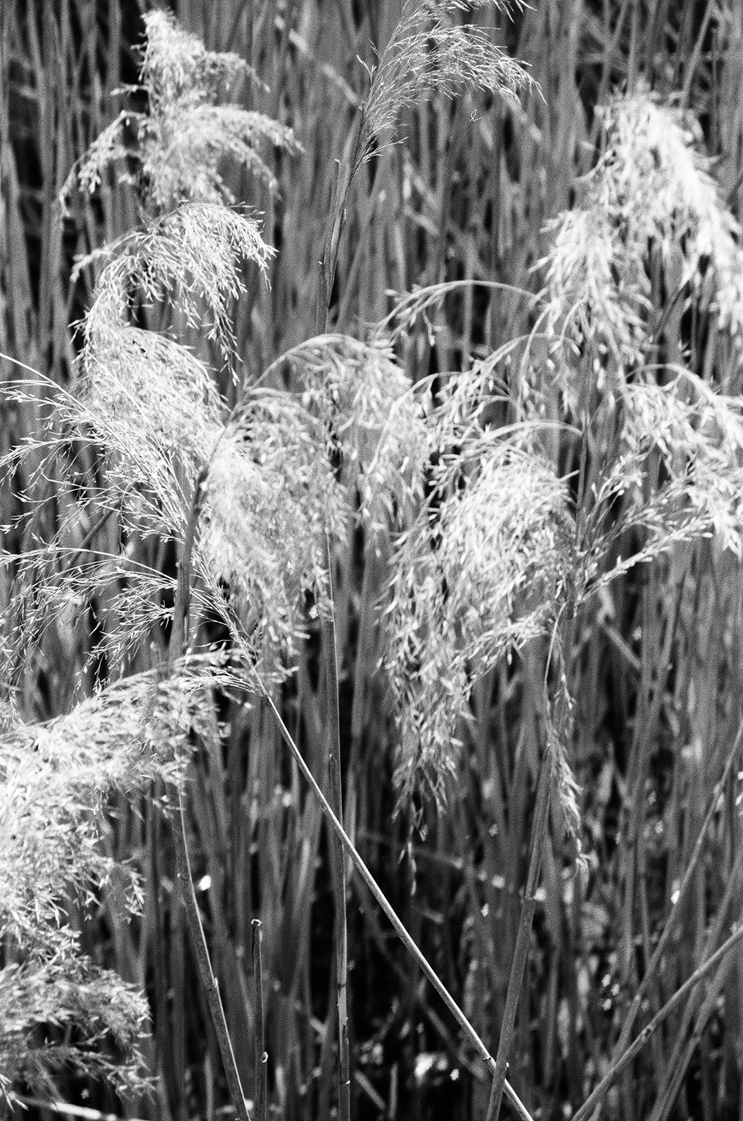 Portfolio Bild
