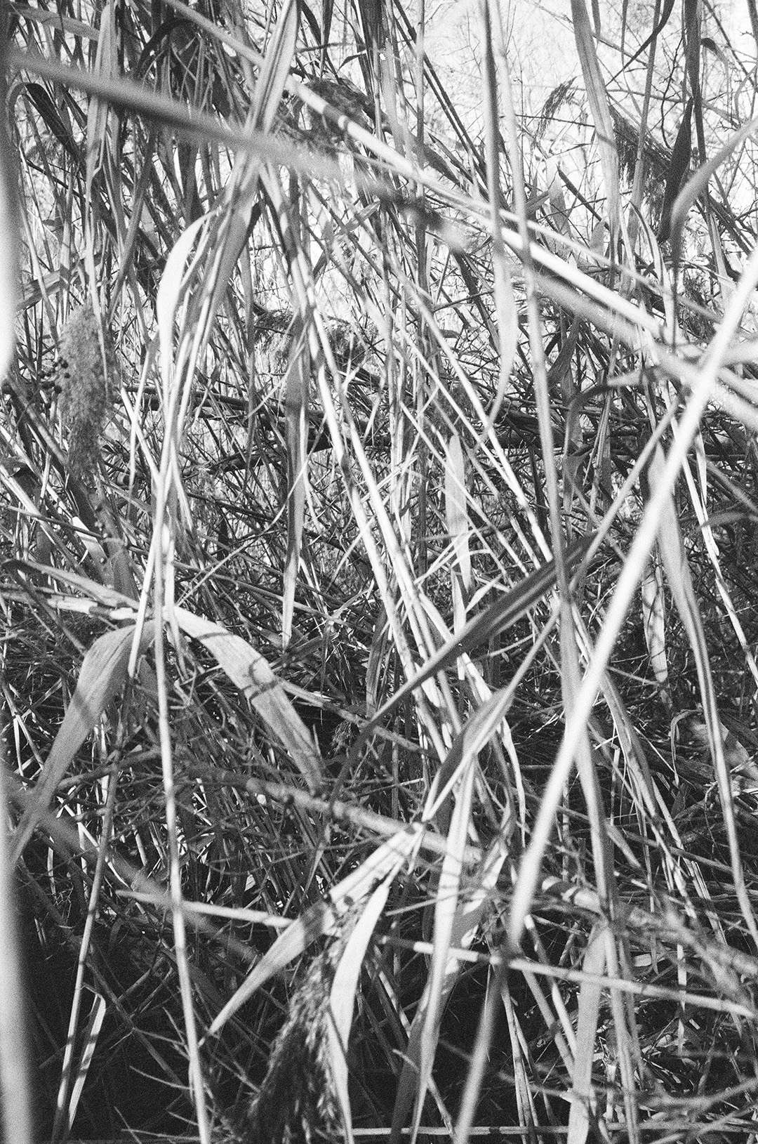Portfolio Bild