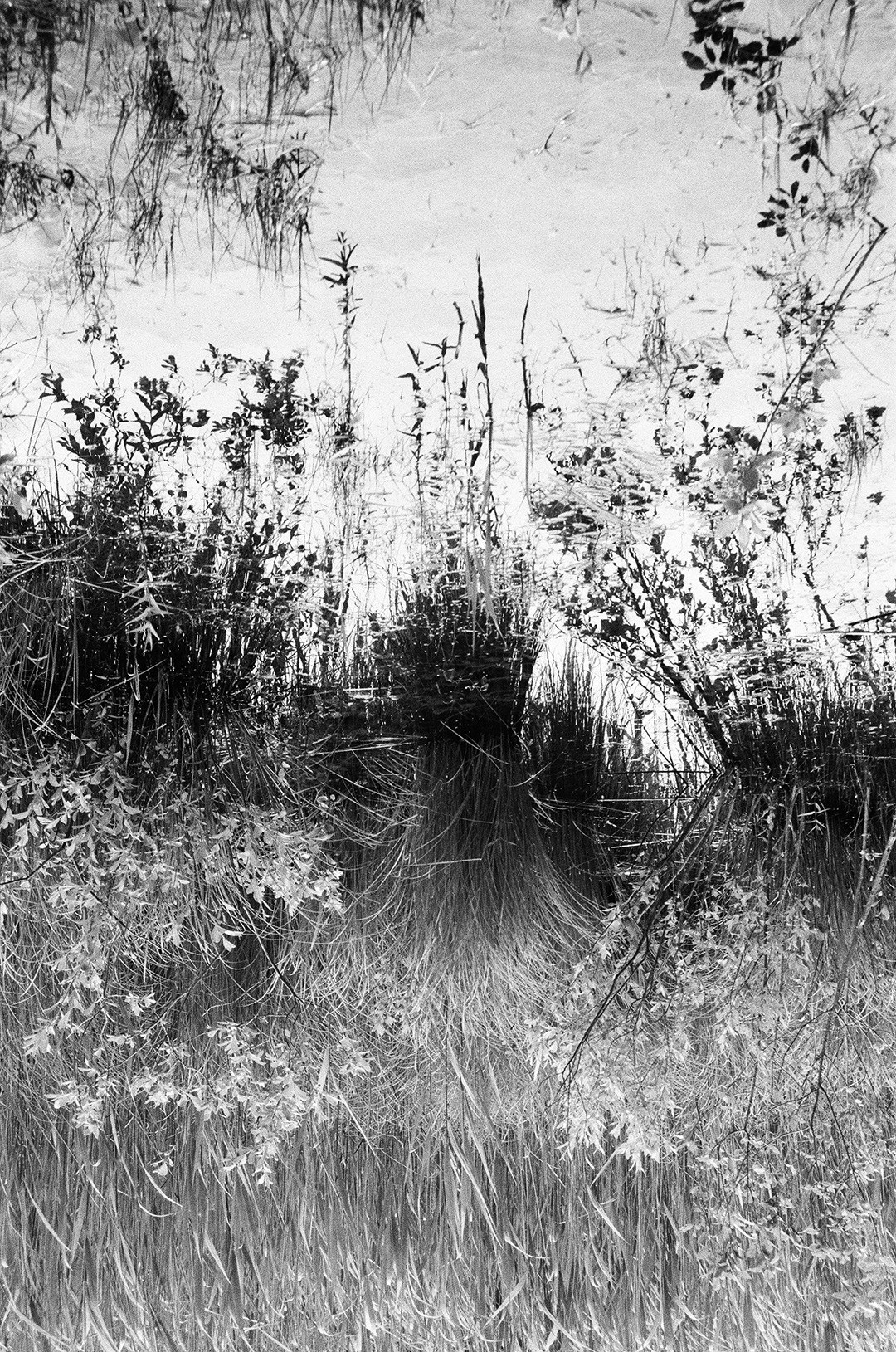 Portfolio Bild