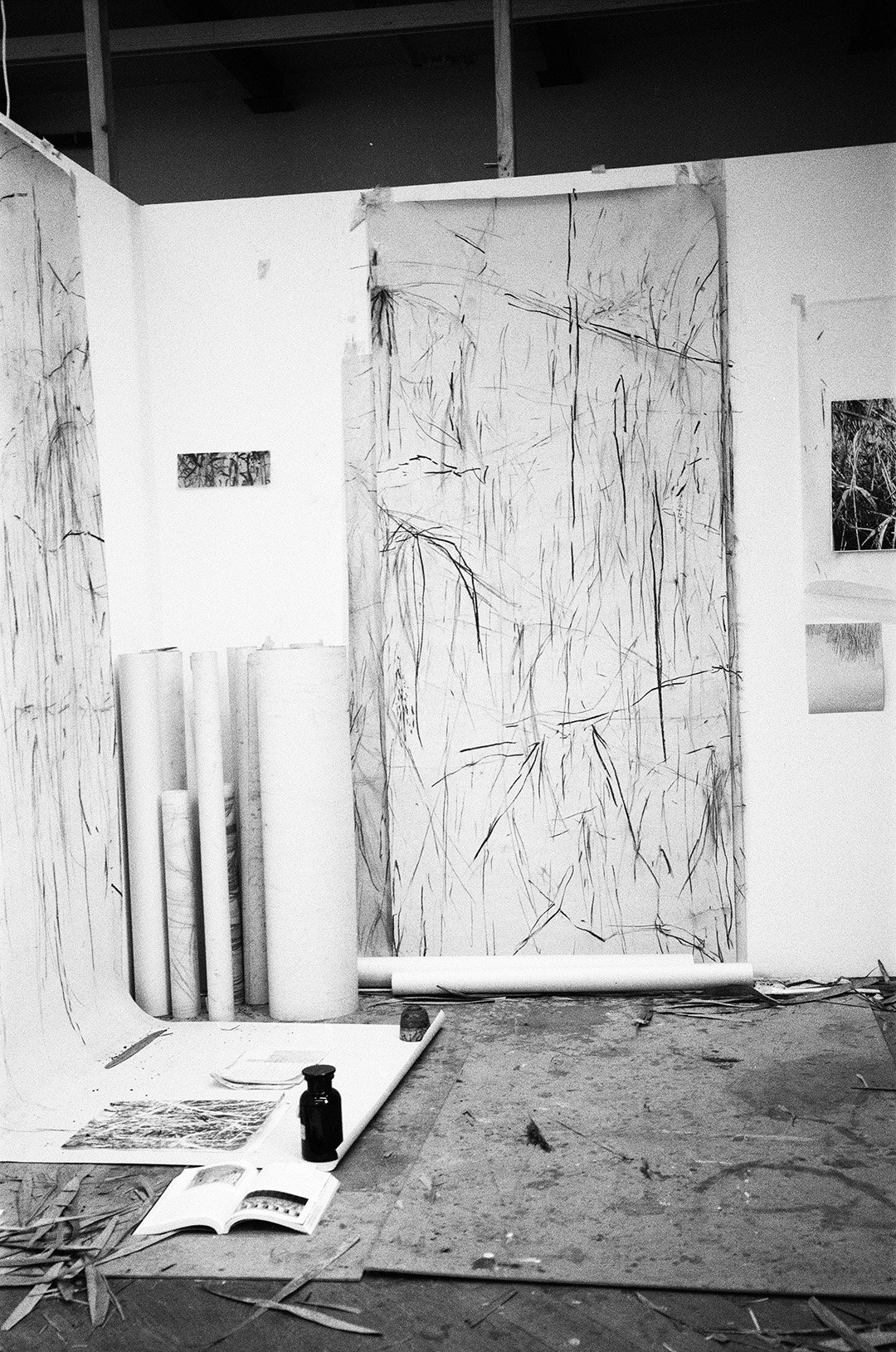 Portfolio Bild